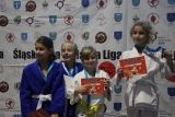 Śląska Liga Judo 2018
